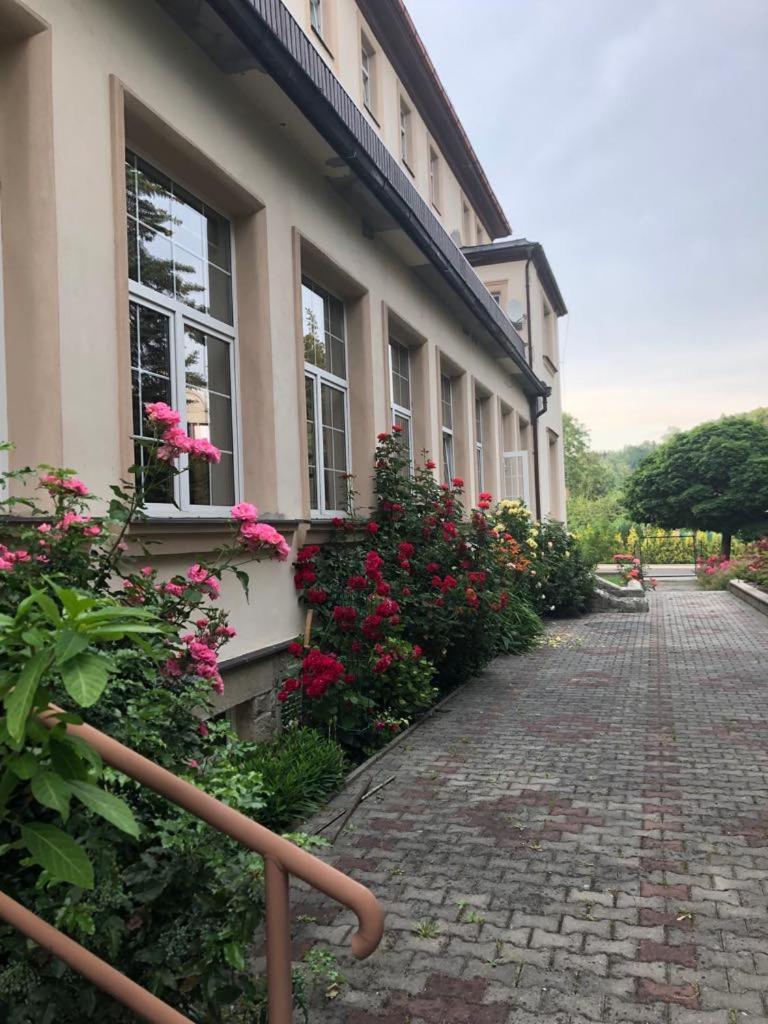 Grandhotel Nový Bor Esterno foto